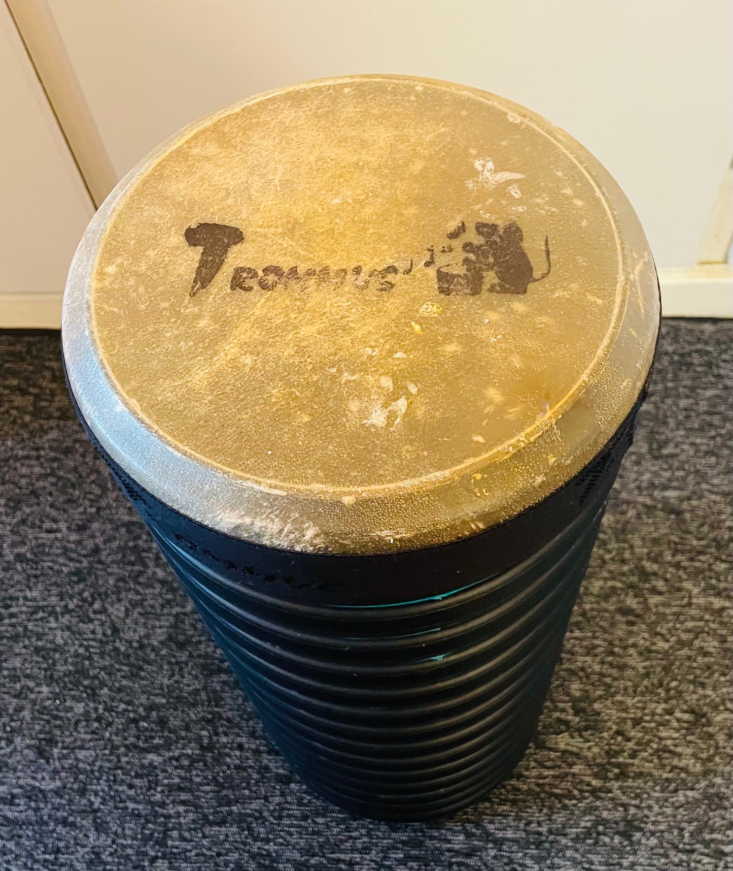 Trommus tromme