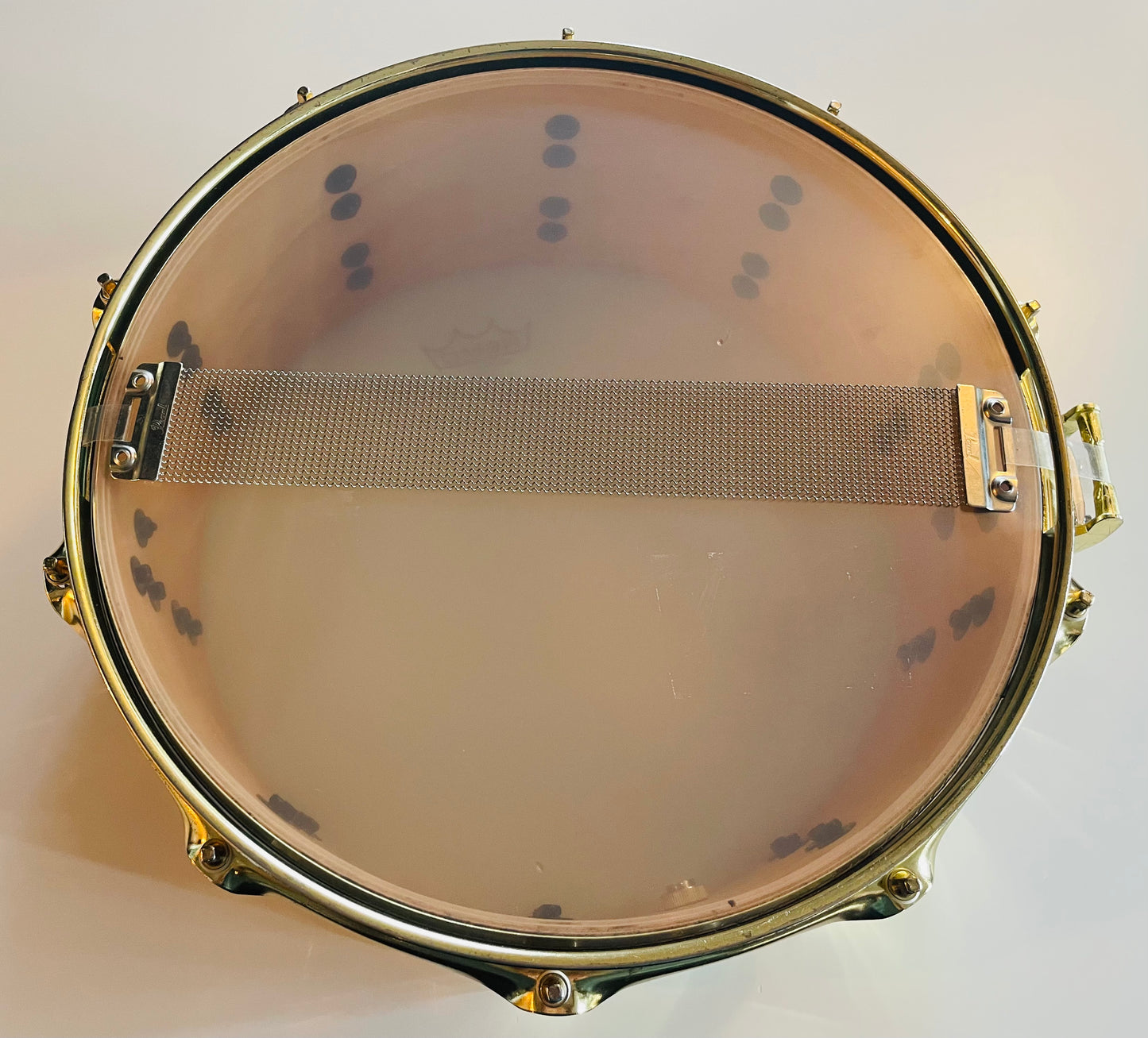 14" x 5.5" World Max Maple/Brass Snare Drum